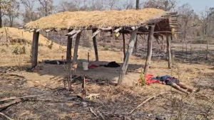 kanker couple suicide: प्रेमी जोड़े ने जहर पीकर दी जान, परिवार शादी के लिए नहीं था तैयार