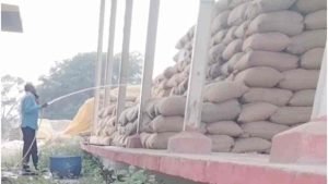 abhanpur news: धान की बोरियों में पानी डालकर वजन बढ़ा रहे कर्मचारी, वीडियो वायरल