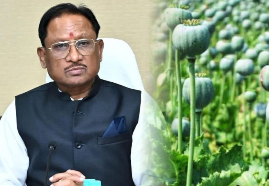 छत्तीसगढ़ में अफीम की खेती पर “जीरो टॉलरेंस”,निशाने पर कलेक्टर,ac कमरों से निकल कर खेत खलियानों की ओर रुख़ करने लगे अफसर…