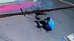 durg murder: बेजुबान कुत्ते की बेरहमी से पीट पीटकर हत्या, वीडियो देख कहां पर जाएगी रूह..