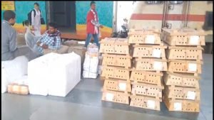 bilaspur bird flu: बर्ड फ्लू के बीच लापरवाही! चिकन दुकानें बंद, रेलवे स्टेशन पर धड़ल्ले से उतरे चूजे