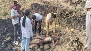 balod murder: खेत में मिली युवती की जली लाश, अगले महीने थी शादी