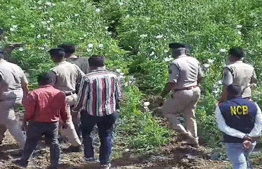 फार्महाउस में ‘काली खेती’ का भंडाफोड़, बाउंसर्स की पहरेदारी में उग रही थी अफीम,भाजपा नेता समेत 3 गिरफ्तार…
