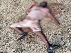raigarh murder: खेत में खून से लथपथ मिला युवक का शव, गले पर धारदार हथियार के निशान; खून से सने कपडे..