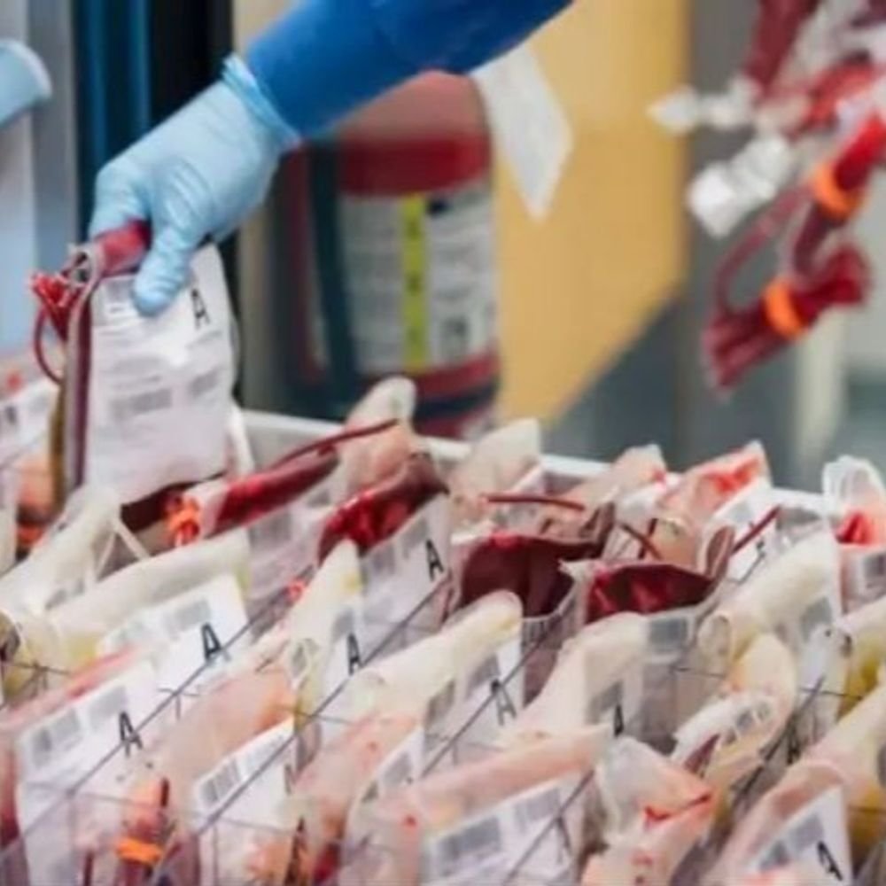 देश की ब्लड बैंकों की अब डिजिटल निगरानी:ई रक्तकोष पर रजिस्ट्रेशन अनिवार्य, सख्ती स्टॉक और उपलब्धता में अंतर तो एक्शन होगा