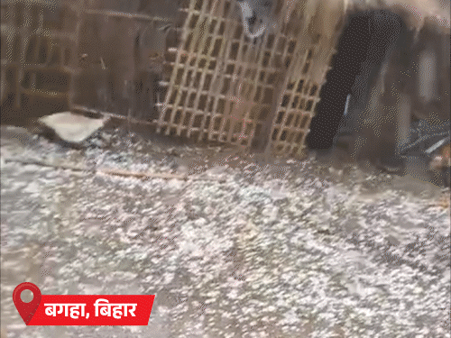 राजस्थान up के कई हिस्सों में बारिश:बिहार में आंधी बिजली से 7 मौतें, पटना में ओले गिरे; हिमाचल में लगातार पांचवें दिन बर्फबारी