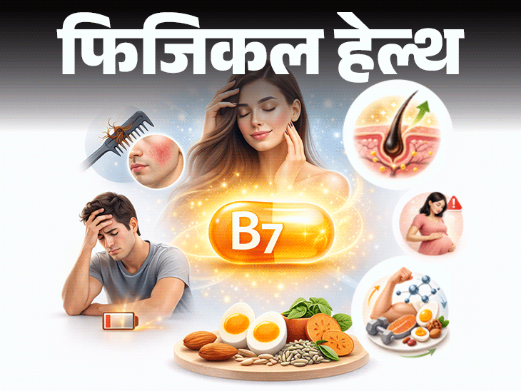 फिजिकल हेल्थ हेल्थ के लिए क्रिटिकल बायोटिन:शरीर में करता ये 10 जरूरी काम, डेफिशिएंसी के 11 संकेत, पूर्ति के लिए खाएं ये चीजें