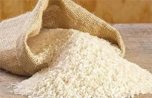 cg news: राशन दुकान से 26 क्विंटल चावल चोरी, आधी रात चोरों ने बोला धावा