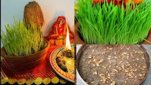 chaitra navratri 2026: नवरात्रि के तीसरे दिन मां चंद्रघंटा की पूजा, इन चीजों का भोग लगाने से पूरी होंगी मनोकामनाएं, जानिए कैसे करें मां के उपासना…