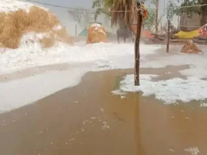 cg weather update: छत्तीसगढ़ में बढ़ेगी गर्मी, 5 दिन में 3 5° तक चढ़ेगा पारा; अंबिकापुर सबसे ठंडा