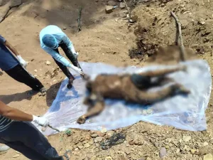 mungeli murder: 4 करोड़ की संपत्ति के लिए भाई ने किया भाई का मर्डर, शिक्षा रिटायर्ड अधिकारी का गला घोंटकर रेत में दफनाई लाश