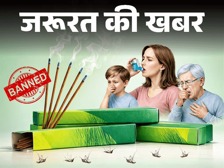 जरूरत की खबर 'मच्छर अगरबत्तियों' में खतरनाक केमिकल्स:खरीदने से पहले चेक करें ये 7 चीजें, नेचुरल तरीकों से मच्छर भगाने के 11 टिप्स