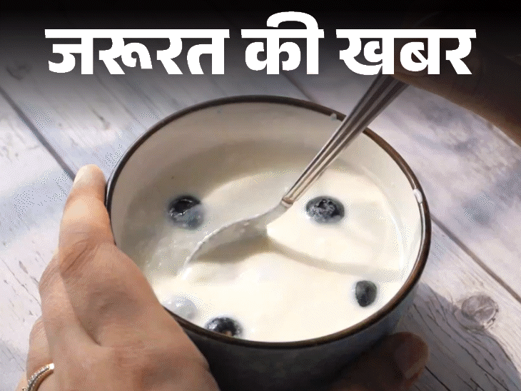 जरूरत की खबर बीपी कम करना है तो दही खाएं:इम्यूनिटी बढ़ाए, इंफ्लेमेशन कम करे, 12 हेल्थ बेनिफिट्स, जानें किसे नहीं खाना चाहिए
