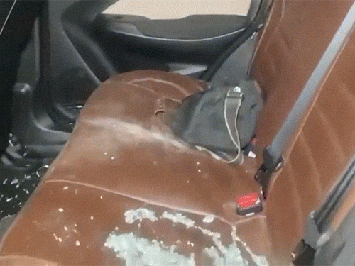 पश्चिम बंगाल वोटर लिस्ट में नाम कटा, चुनाव अधिकारी घेरे गए:प्रदर्शनकारियों ने गाड़ियों के शीशे तोड़े, पुलिस ने बचाया