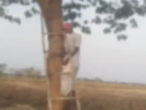 balodabazar suicide: तुलसी पत्ता बांधकर बुजुर्ग ने दी जान, 15 दिन से थे अकेले