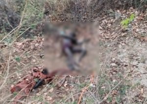 bilaspur murder: नेशनल हाइवे किनारे युवक की अर्धनग्न सड़ी गली लाश, हत्या की आशंका