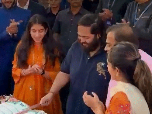 अनंत अंबानी का 31वां जन्मदिन जामनगर के सभी गांवों को भोज:1 लाख गायों को छप्पन भोग कराया; शाहरुख रणवीर समेत कई सेलेब्रिटी शामिल, photos