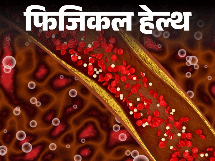 फिजिकल हेल्थ कोलेस्ट्रॉल पर 8 साल बाद आई नई गाइडलाइन:ldl 100 से नीचे रखने की सलाह, 20 साल से कराएं टेस्ट, जानें सभी जरूरी बातें