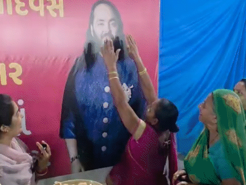 अनंत अंबानी का 31वां जन्मदिन जामनगर के सभी गांवों को भोज:1 लाख गायों को छप्पन भोग कराया; शाहरुख रणवीर समेत कई सेलेब्रिटी शामिल, photos