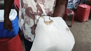 korba breaking: जूस पीने वाले सावधान, बर्फ में मिला मेंढक !