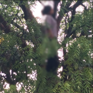 balodabazar suicide: 11वीं की छात्रा ने लगाई फांसी, घर में अकेली थी