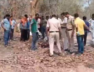 mahasamund murder: जंगल में मिली युवक की लाश, धारदार हथियार से गले और हाथ पर वार