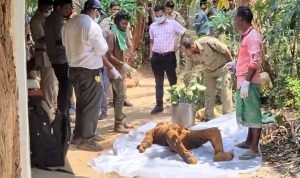 sarguja murder: दोस्त ने की दोस्त की हत्या ! पत्नी संग घर में गाड़ दी लाश, 9 दिन बाद आत्मा के डर से आरोपी ने किया सरेंडर