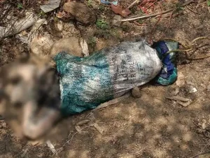 mahasamund murder: कुएं में बोरी में मिला युवक का शव: 20 से 25 दिन पुराना लाश